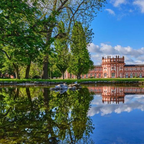 Gourmet Essen in Rostock: Sternerestaurants und gehobene Küche